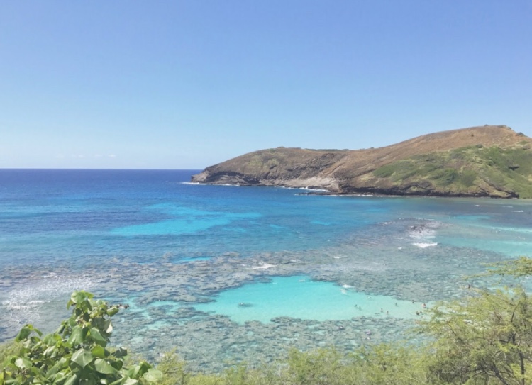 ハワイ オアフ島の有名シュノーケルスポット ハナウマベイ ワールドワイドあっちこっち